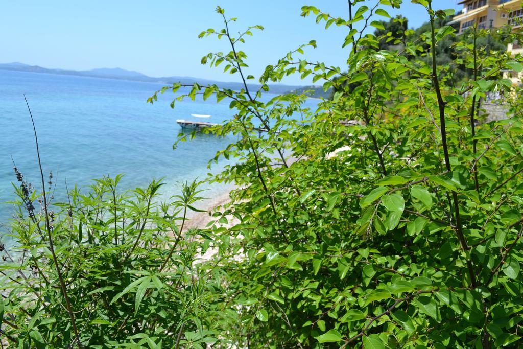 Glyfa Corfu Apartments Barbati Exterior photo